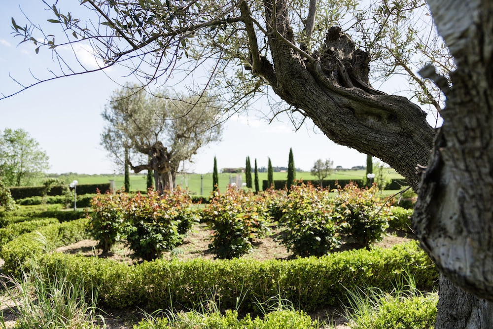 Podere San Giuseppe 28/50