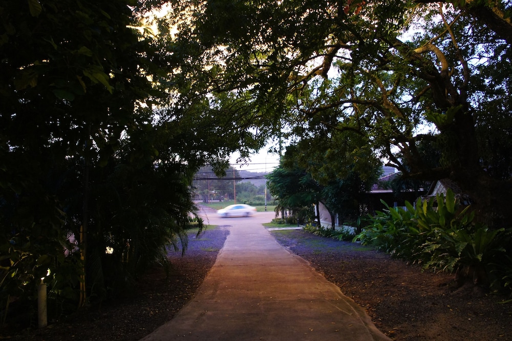 Palm Village 17/67