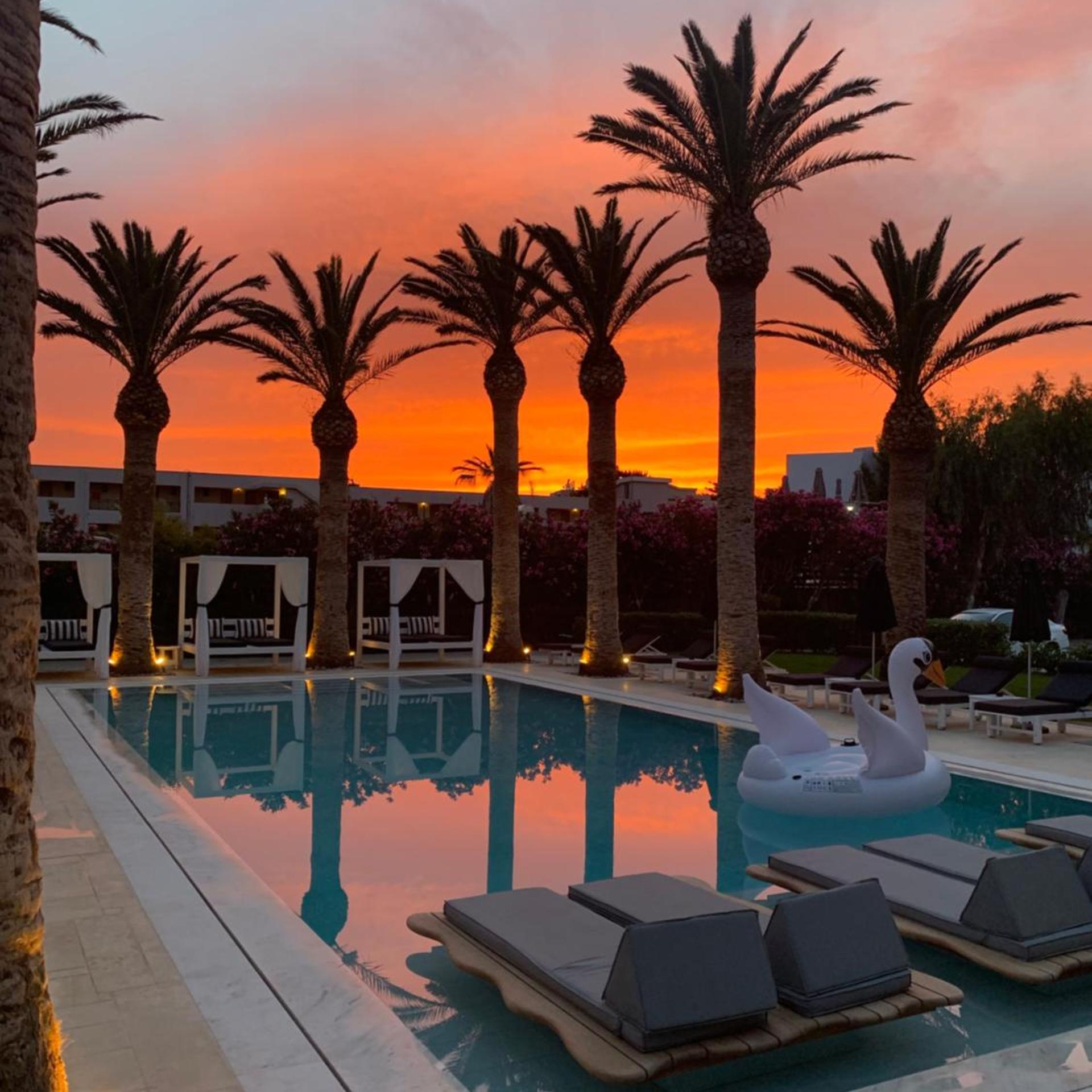 Drossia Palms Hotel - Studios 31/55