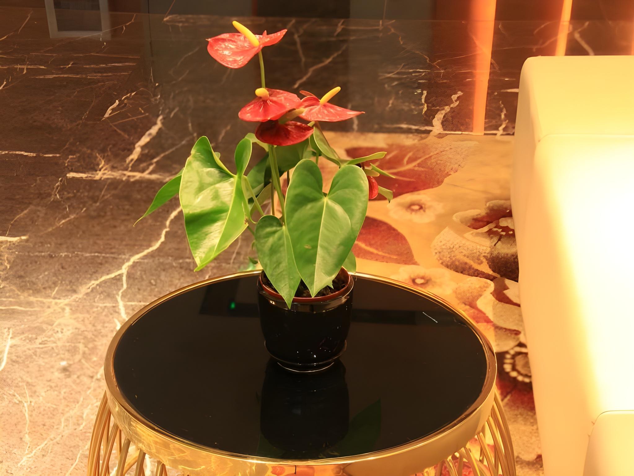 Shangyuan Shimao Grand Hotel 24/26