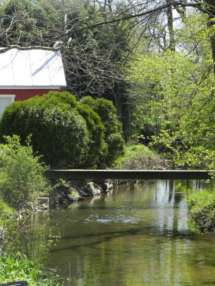 Red Cardinal Bed and Breakfast 14/27