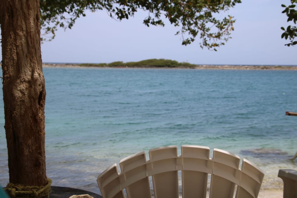 Coral Reef Beach Aruba 34/50