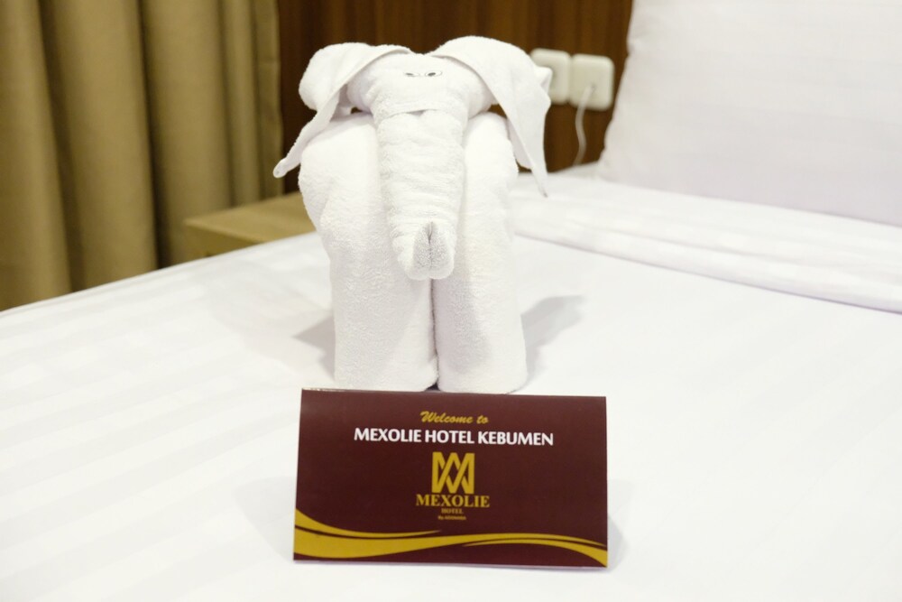 Mexolie Hotel 28/49