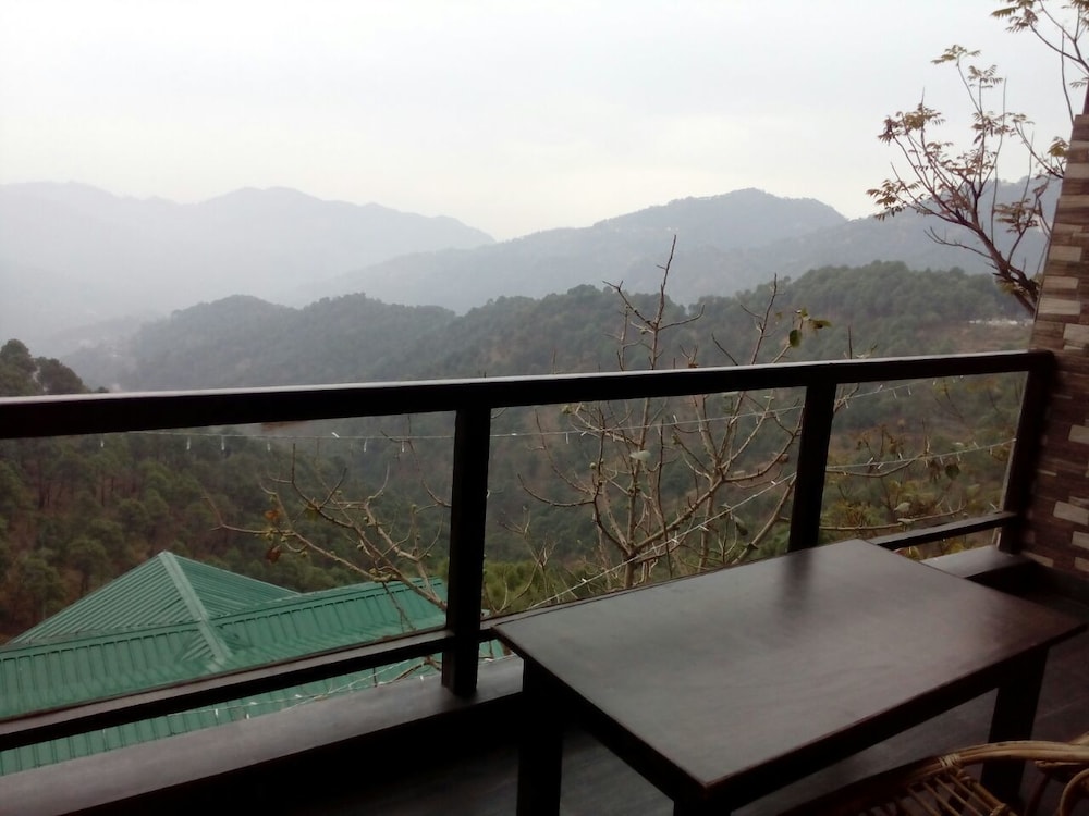 Winnies 12/19