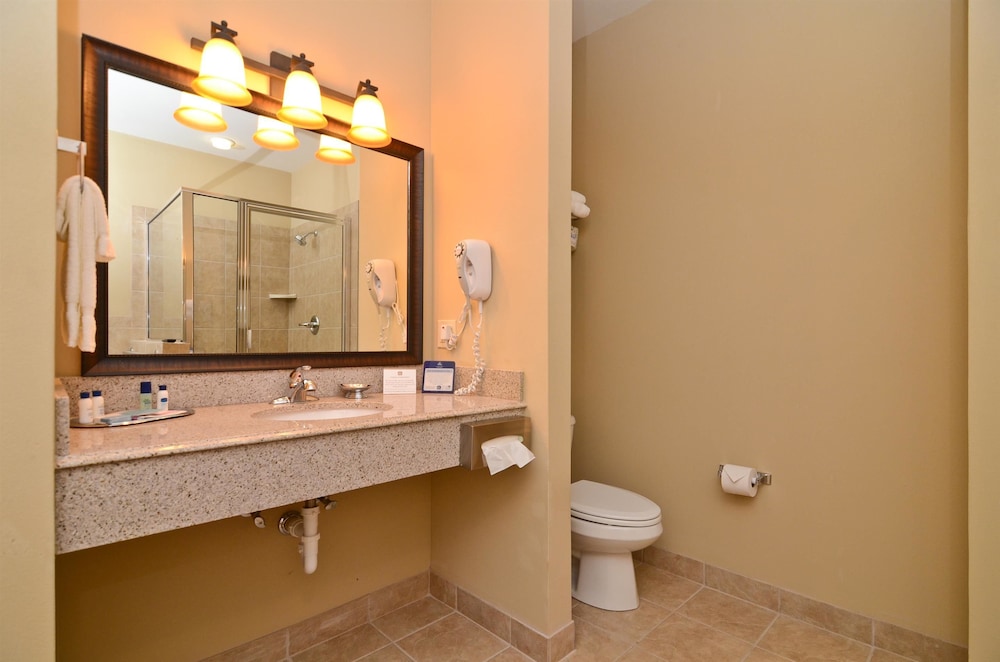 Best Western Plus Emory At Lake Fork Inn And Suites 8/42