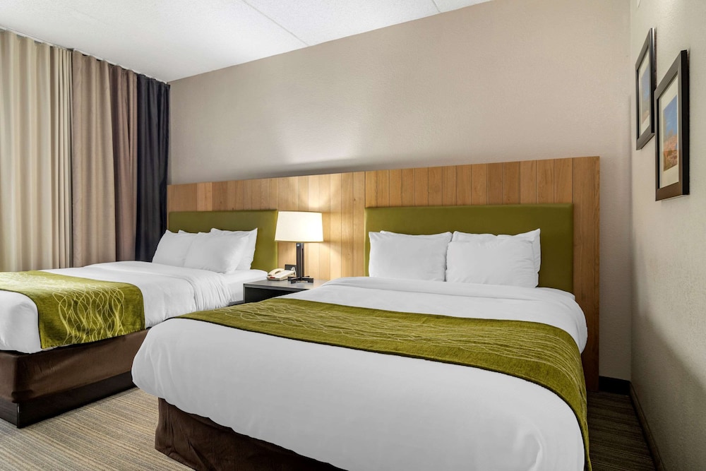 Comfort Inn and Suites Calhoun South 22/58