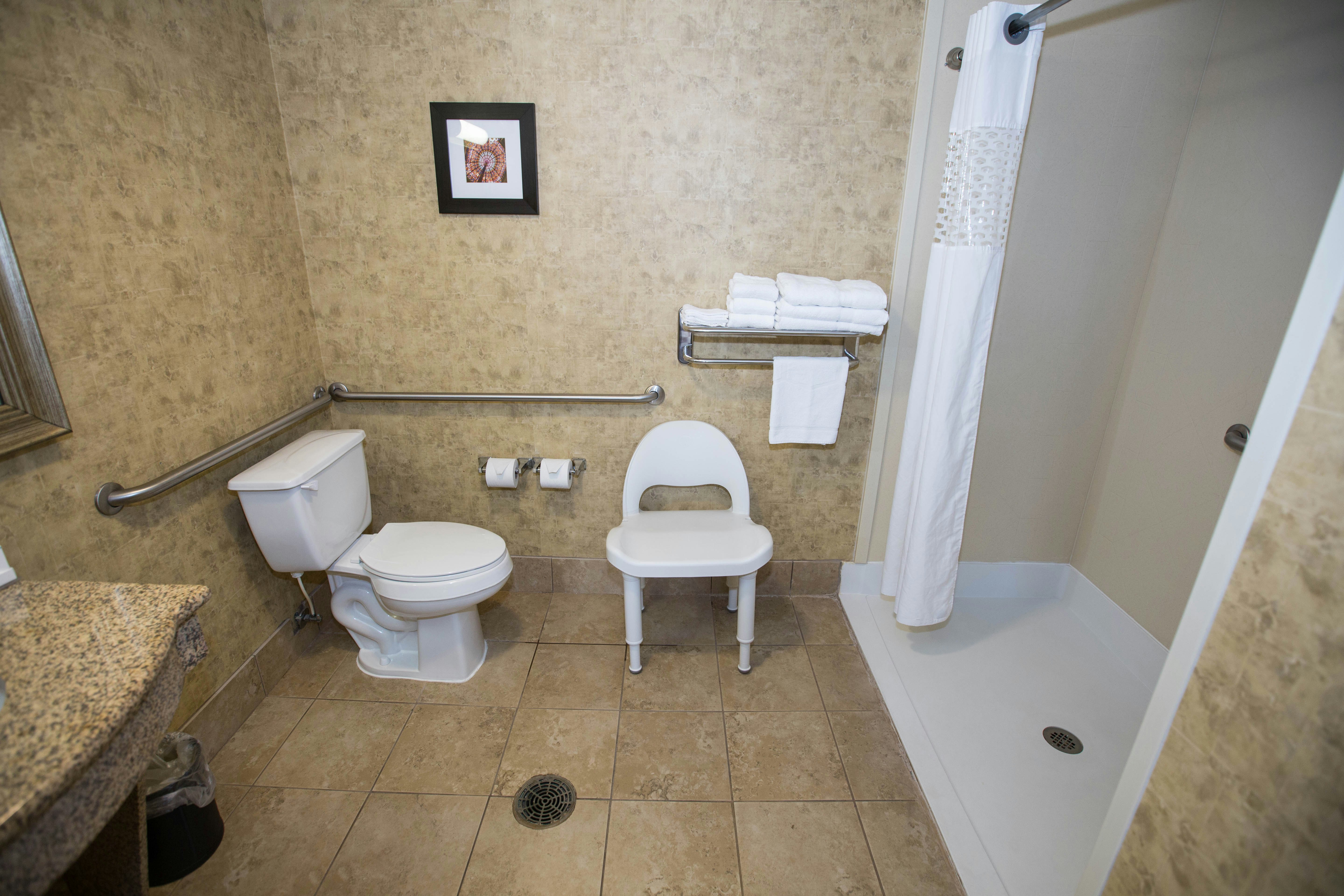 Hampton Inn and Suites Baton Rouge I 10 East 56/56