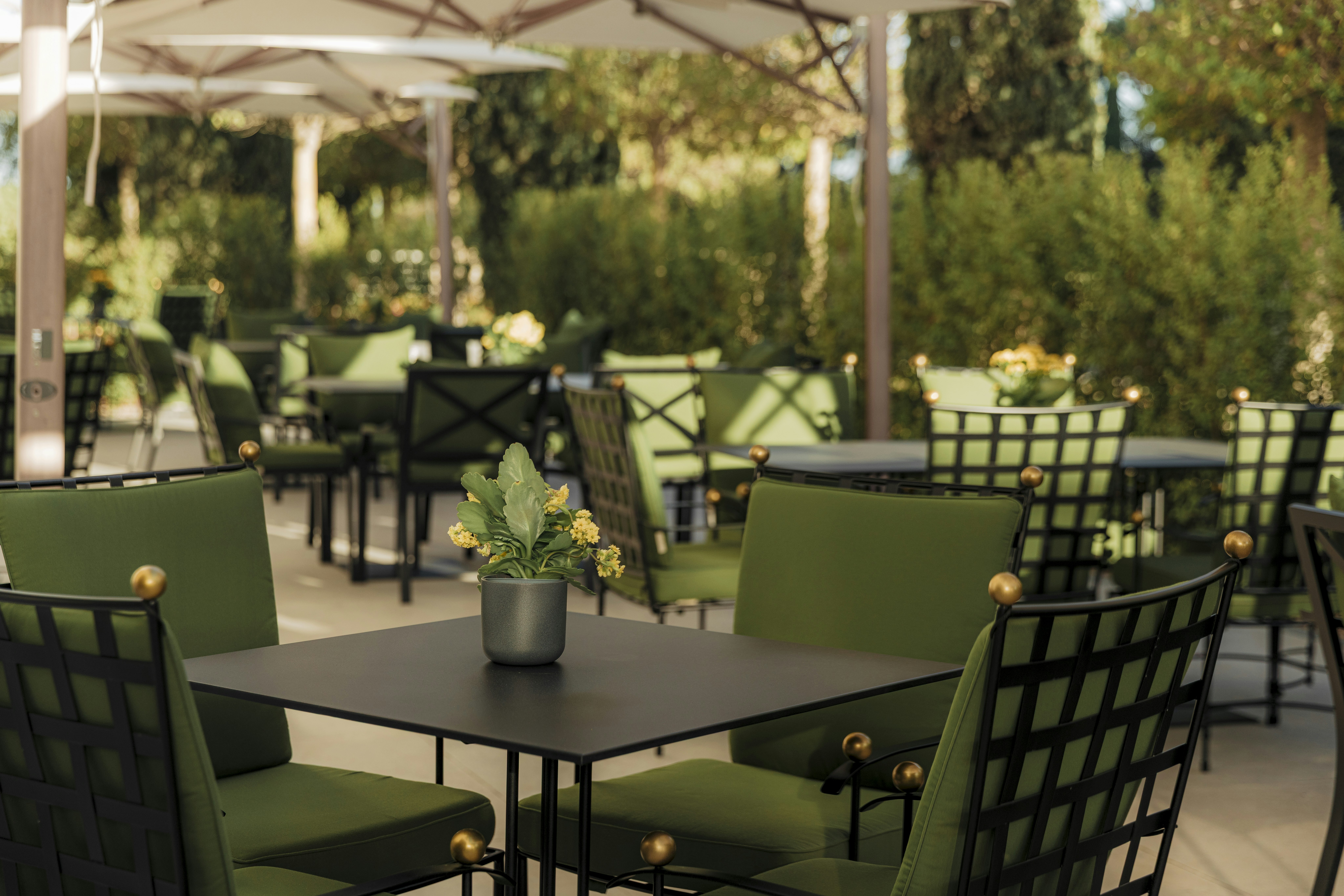Conrad Algarve 30/50