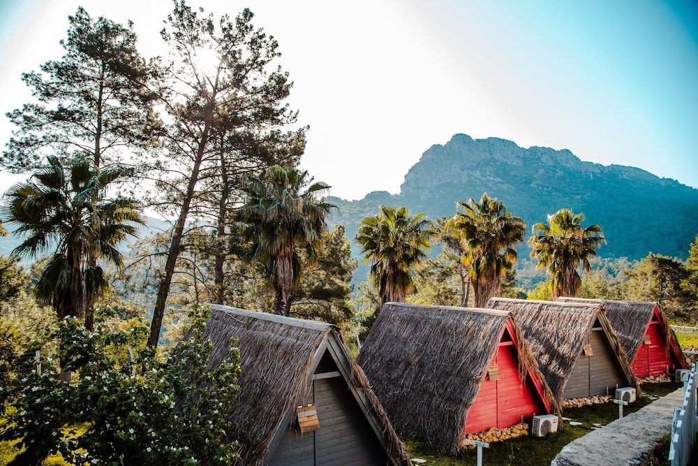 The Hill Glamping 42/47