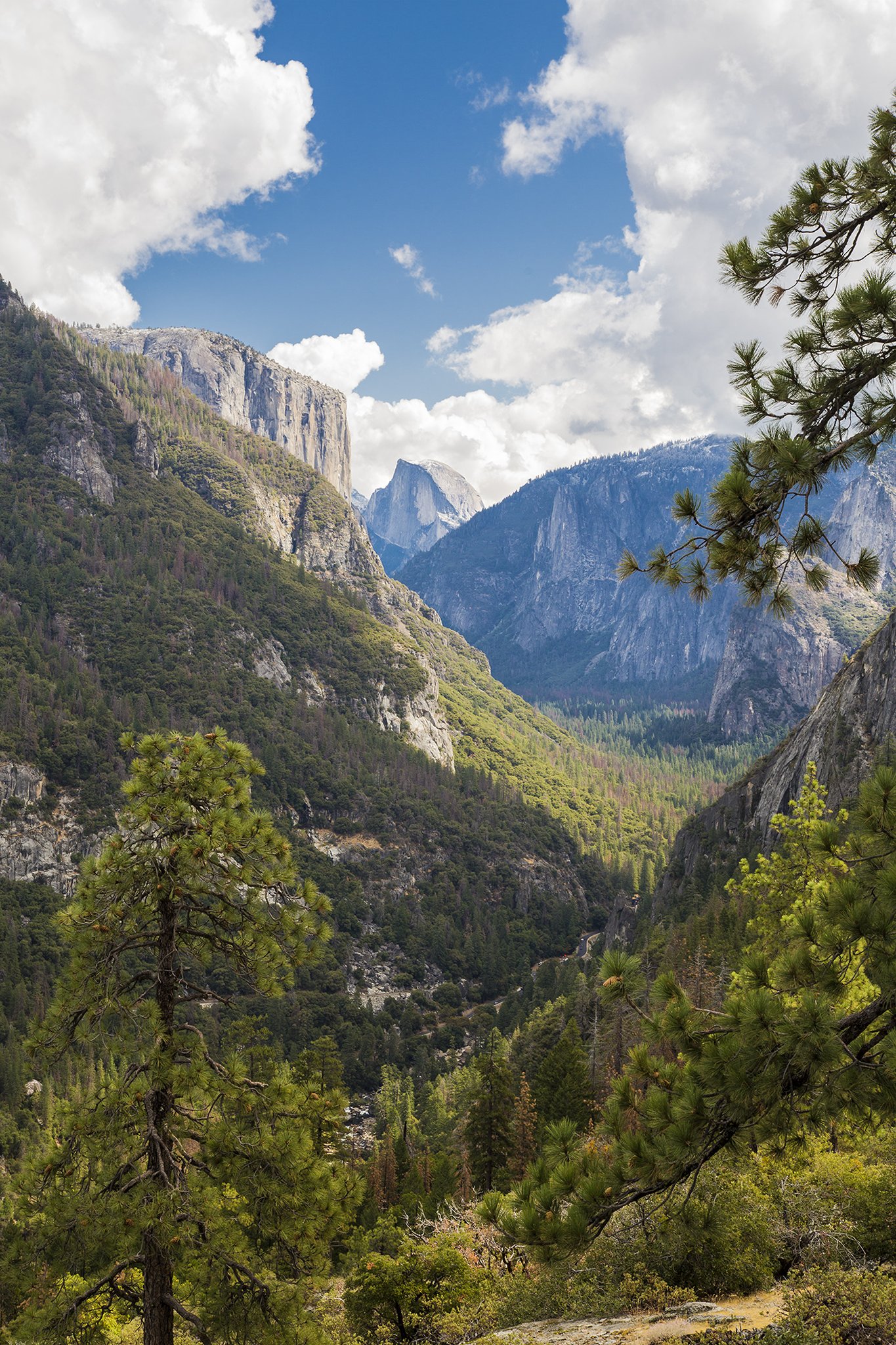 Best Western Plus Yosemite Gateway Inn 53/60