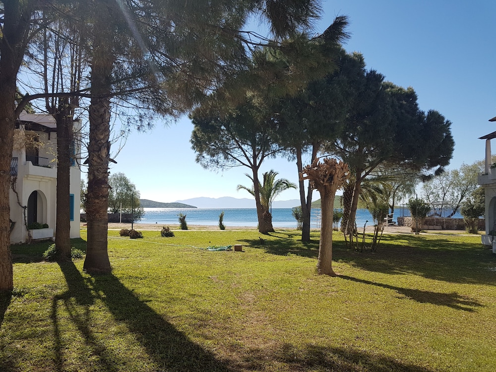 Club Muskebi Hotel 38/50