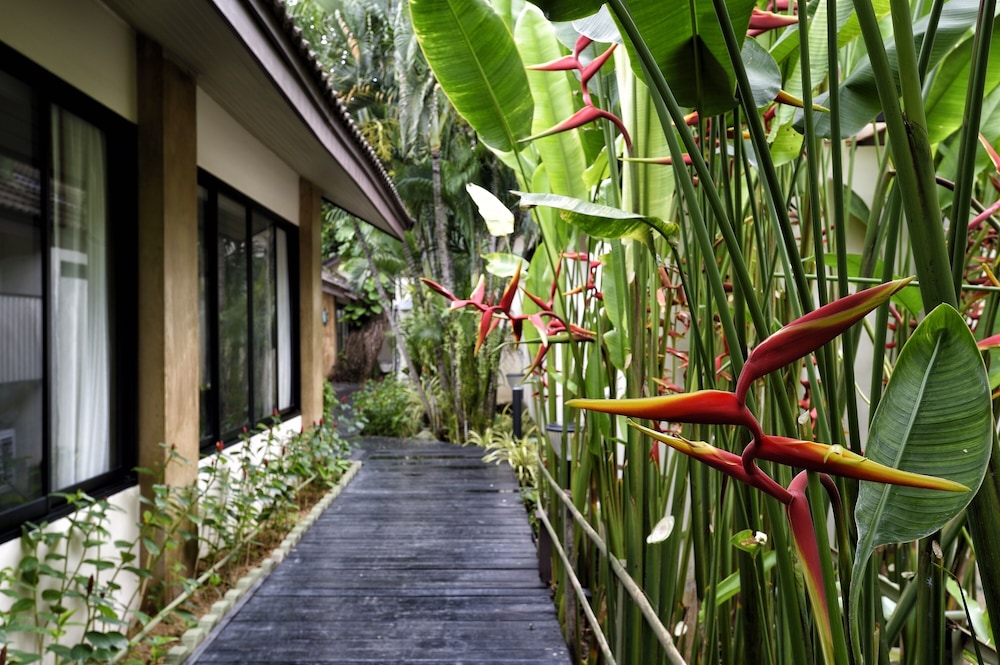 Phuket Island View Resort 71/76