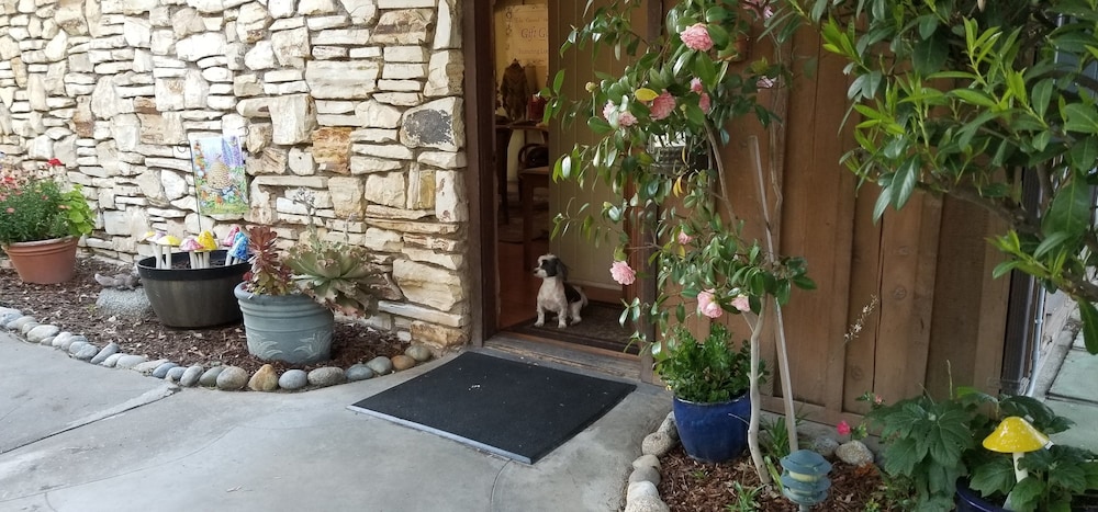 Carmel Valley Lodge And Resort 46/50