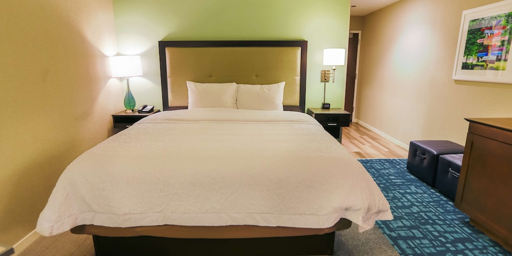 Hampton Inn Suites Charlotte Ballantyne Nc 21/74