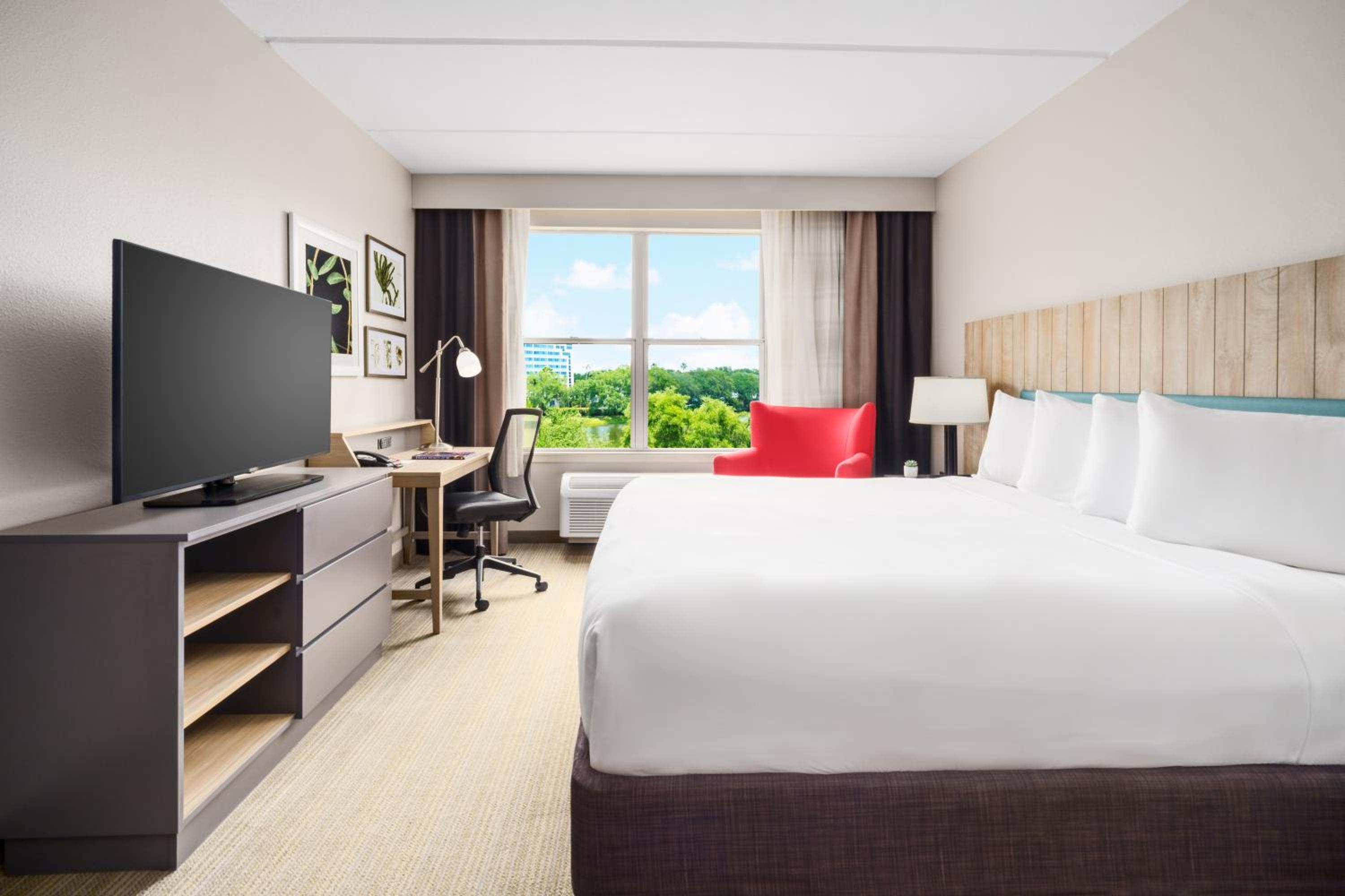 SUITE, KING BED, ACCESSIBLE
