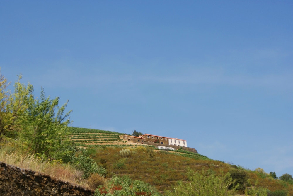 QUINTA DA VEIGA 39/48