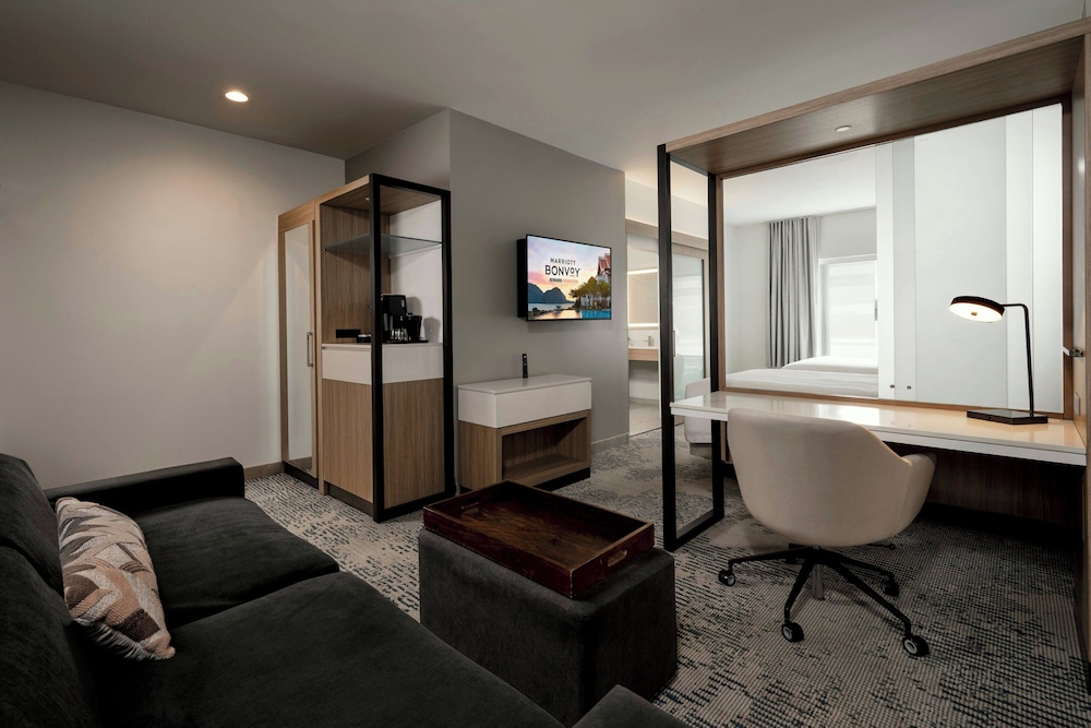 Springhill Suites By Marriott Houston Brookhollow 28/41