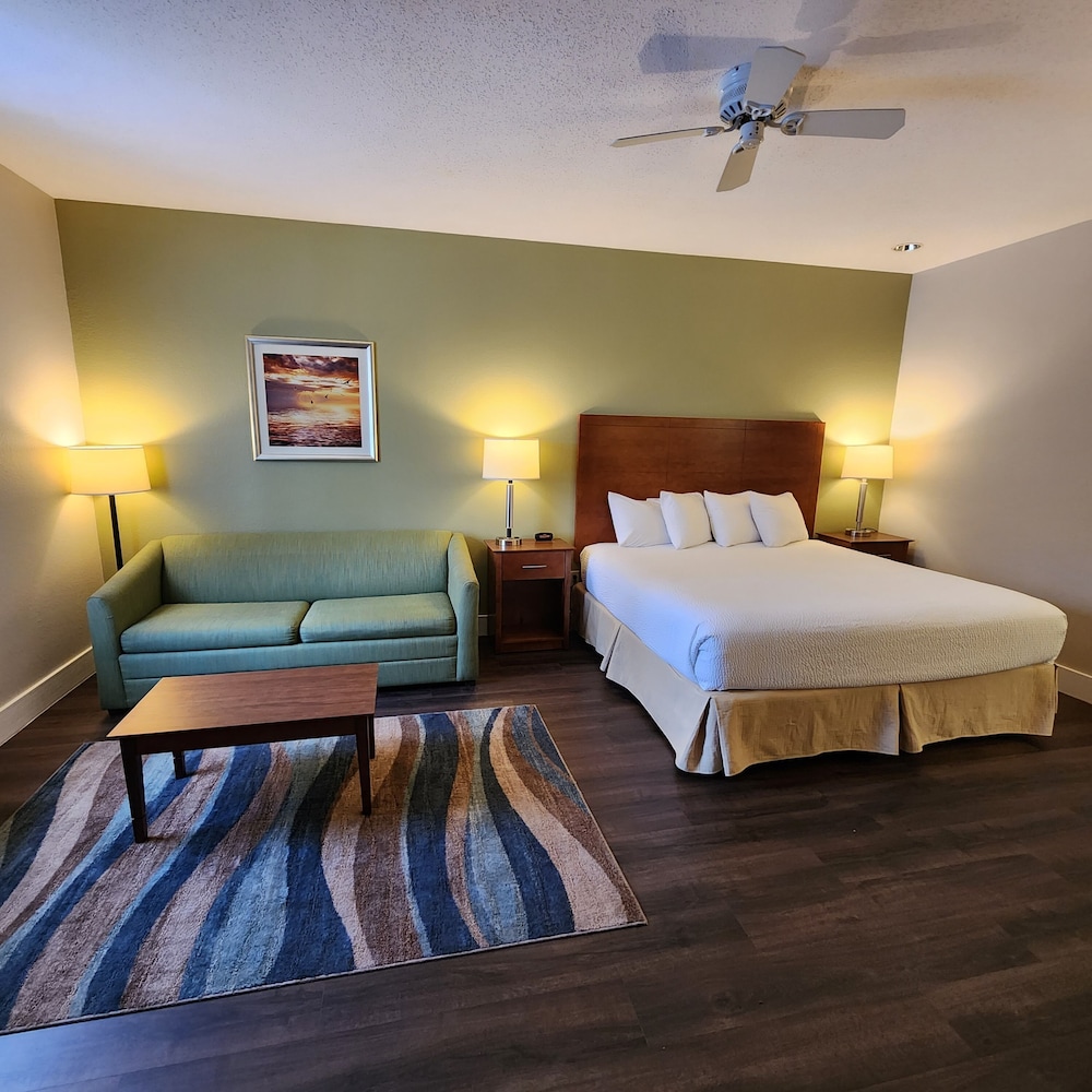 Room, King Bed