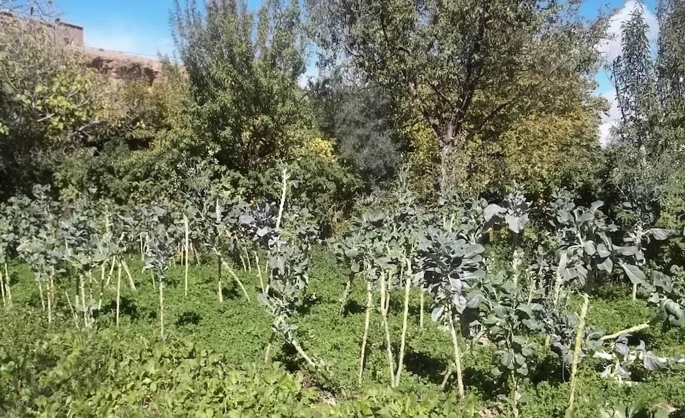 Maison d'hôtes Mogador chez habitants 14/15