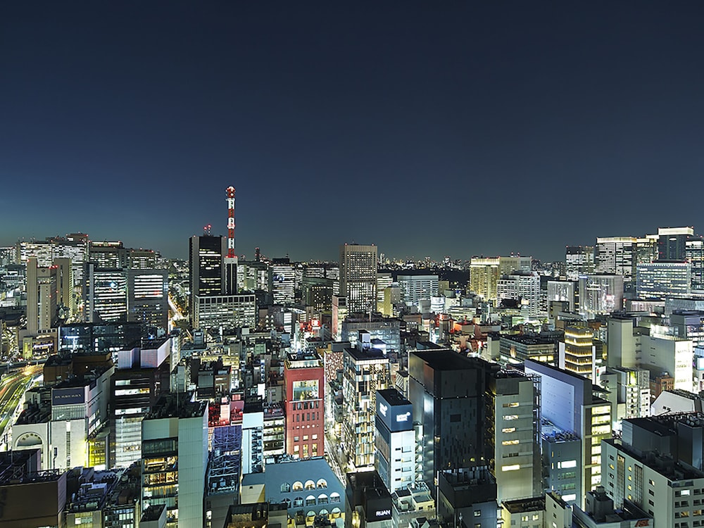Mitsui Garden Hotel Ginza Premier 46/49