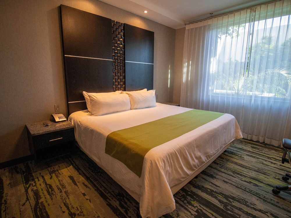 Hotel Araiza San Luis 29/74