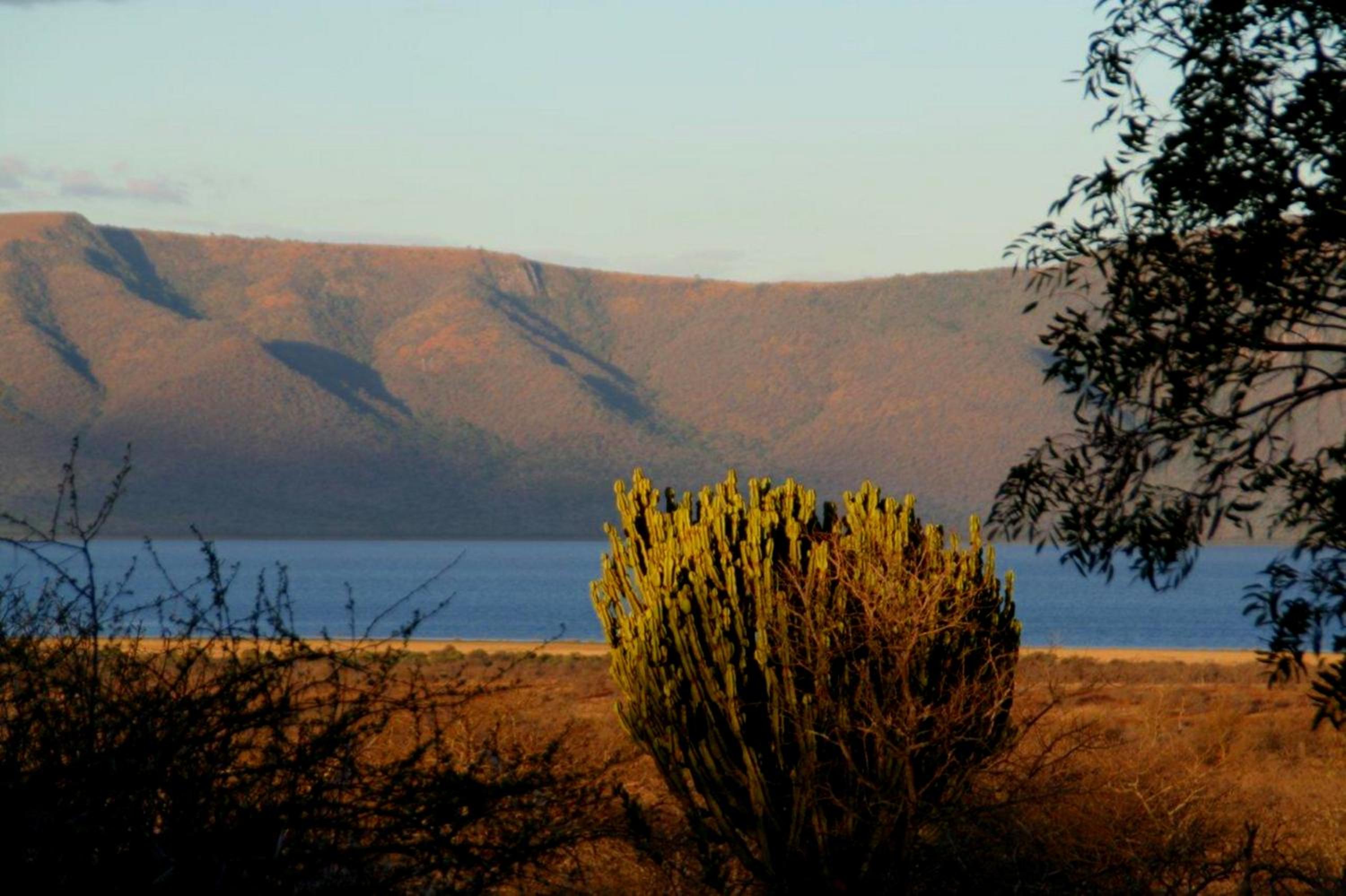 White Elephant Safari Lodge 12/21