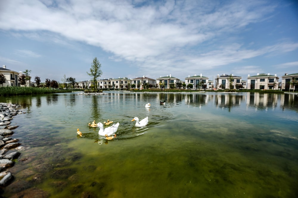 Dreamland Golf Hotel Baku 26/69
