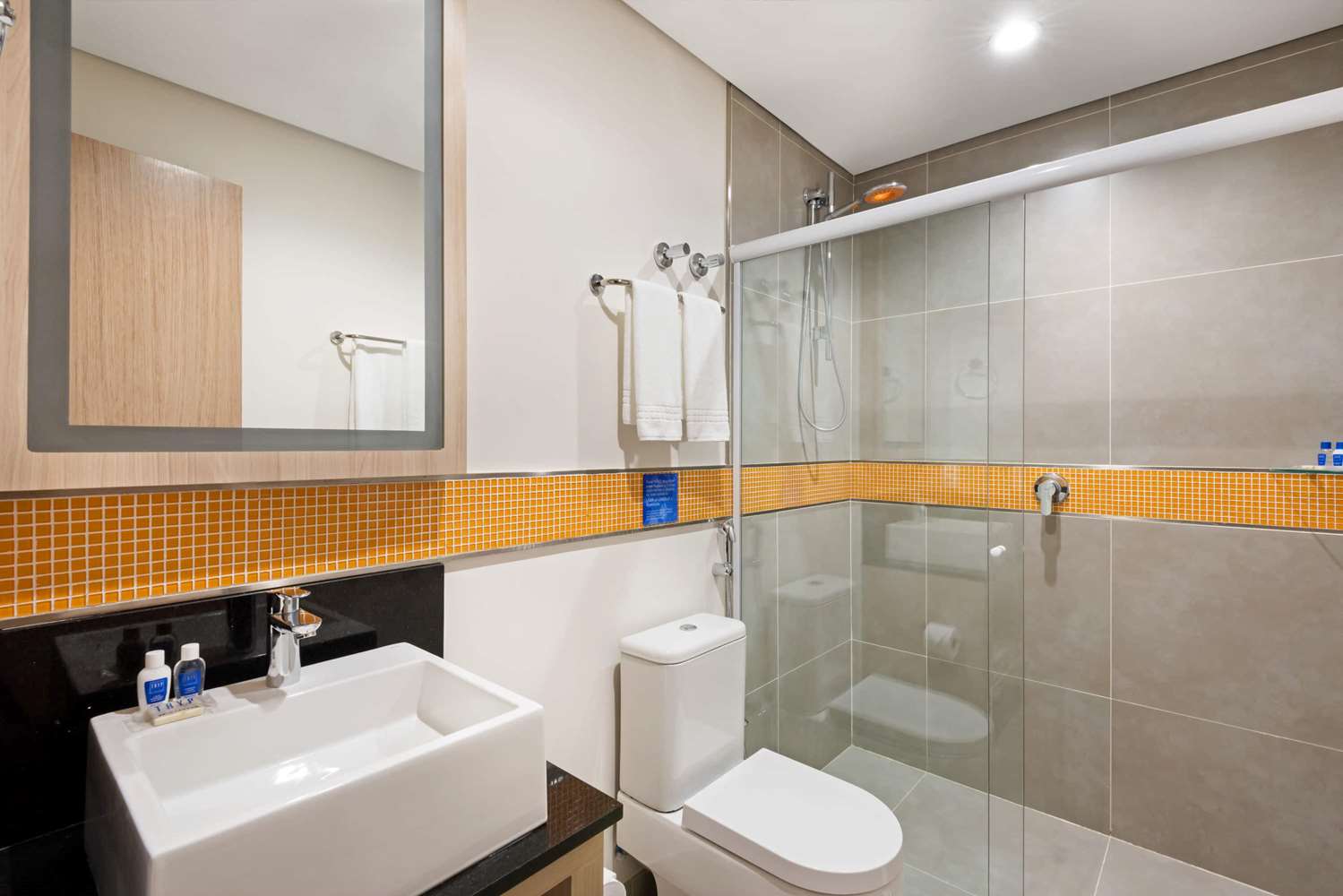 TRYP by Wyndham Sao Paulo Guarulhos Airport 31/33