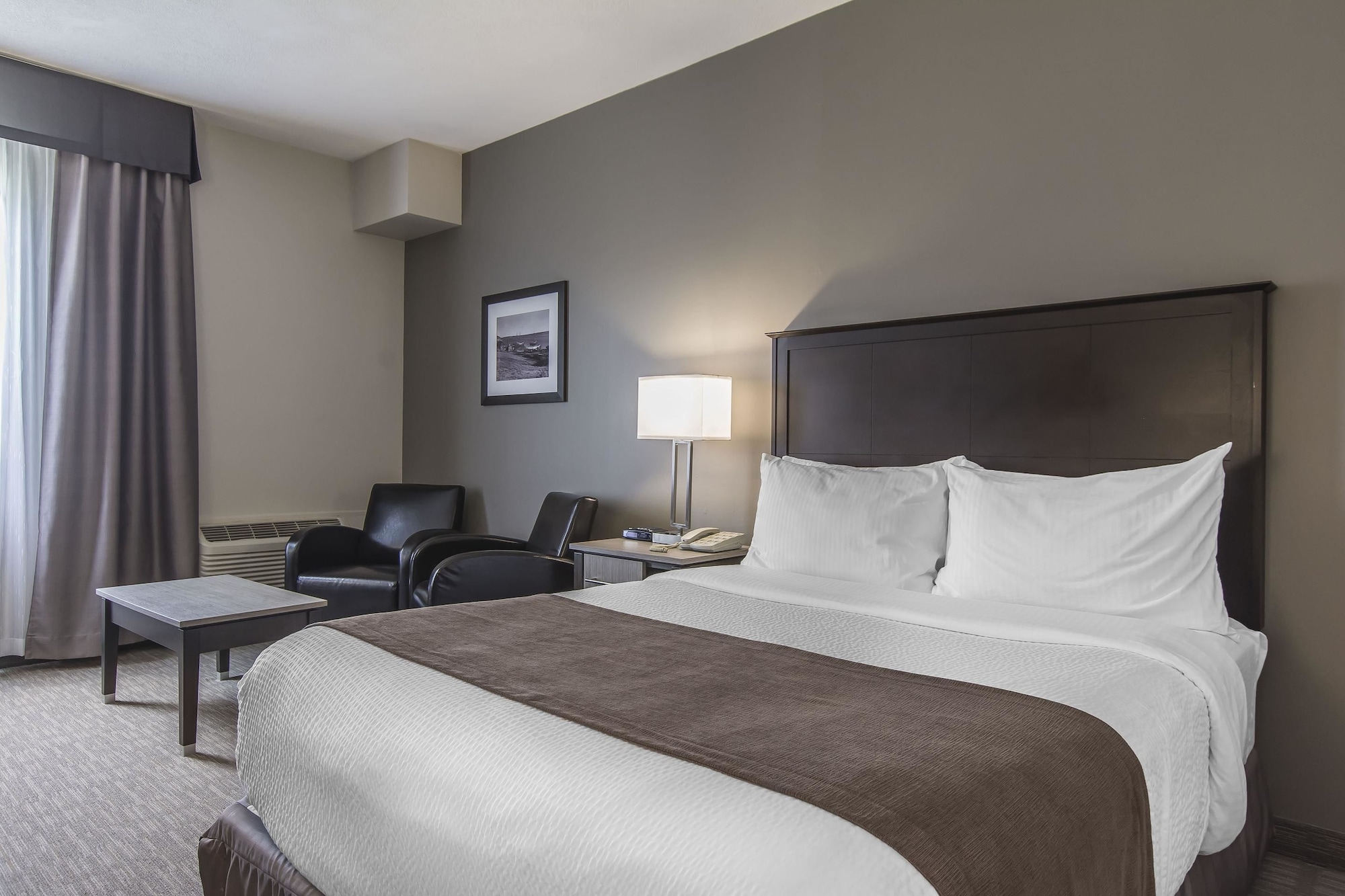 Room, King Bed