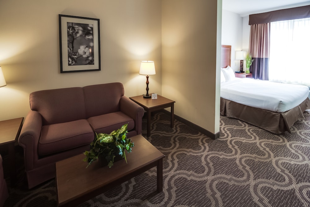 Ashmore Inn and Suites 33/61