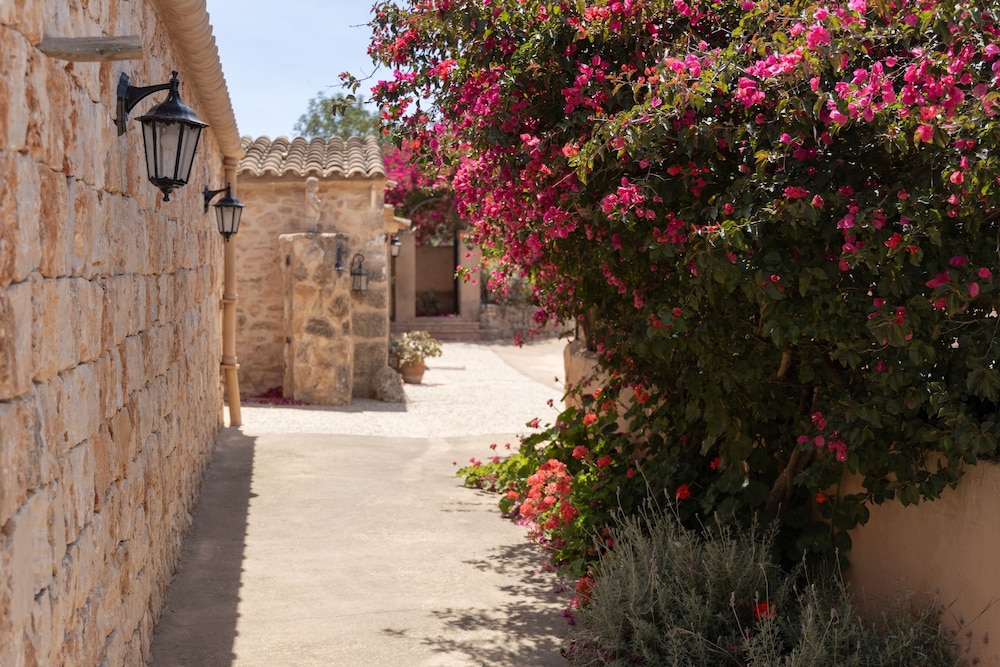 Finca Son Marimon - Adults Only 43/50