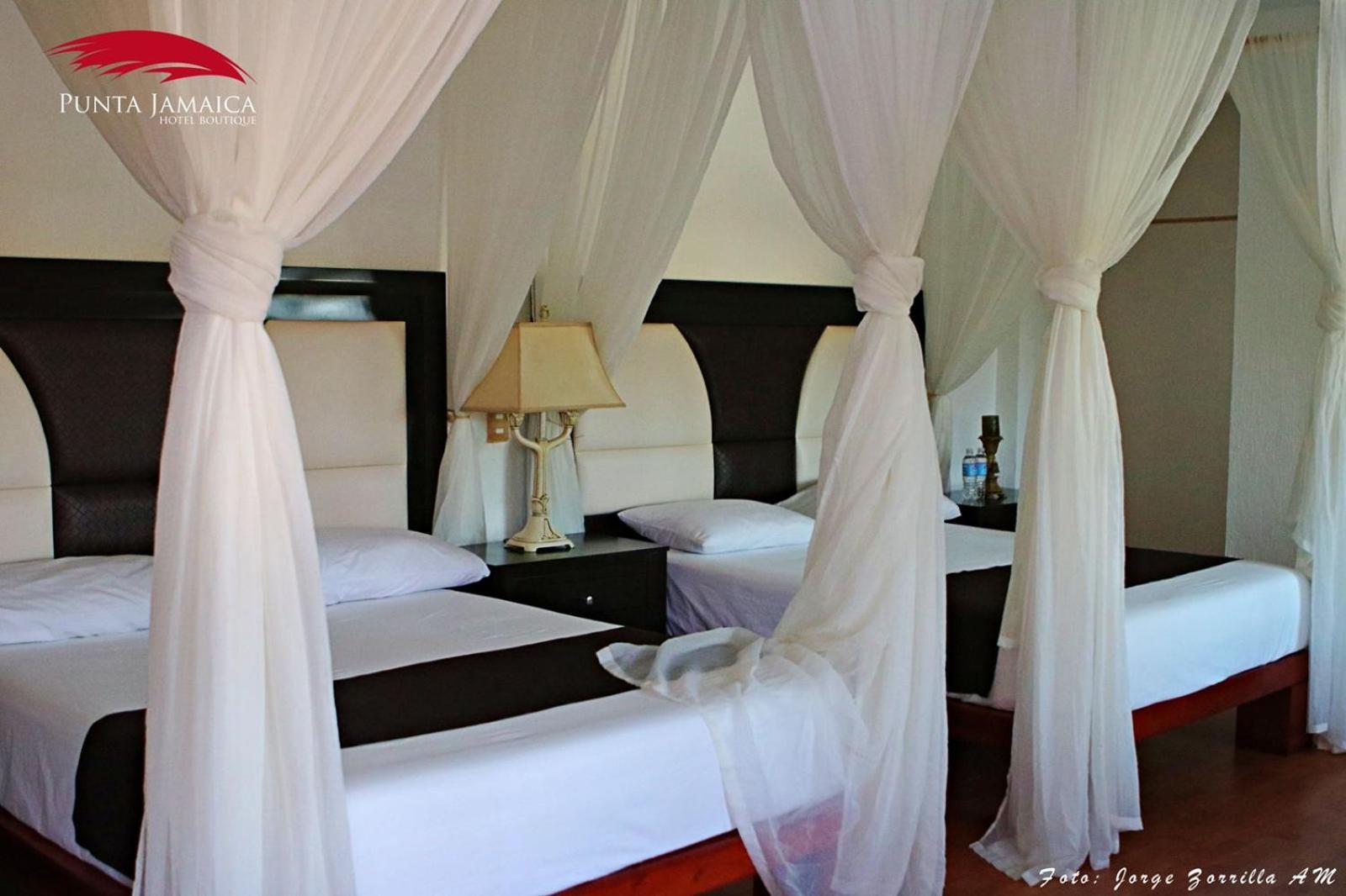 Hotel Boutique Punta Jamaica 14/55