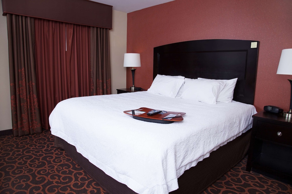 Suite, King Bed
