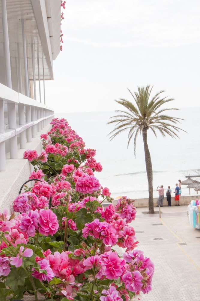 Hotel Voramar Mallorca 29/51