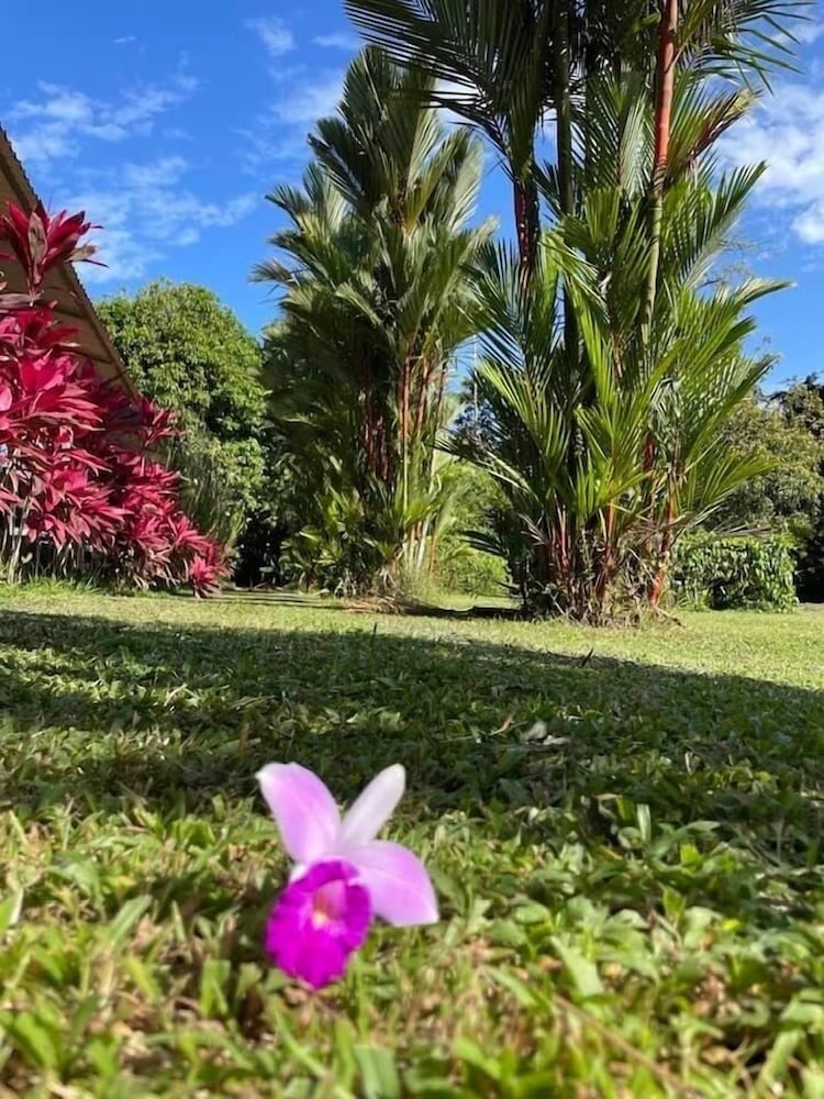 Colores Del Arenal 50/56