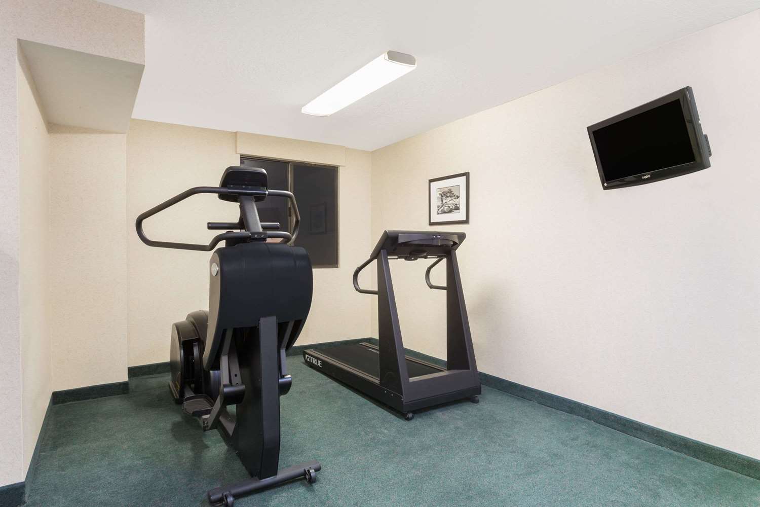 sport facilities