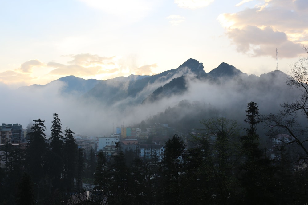 Sapa Garden Hotel 50/55