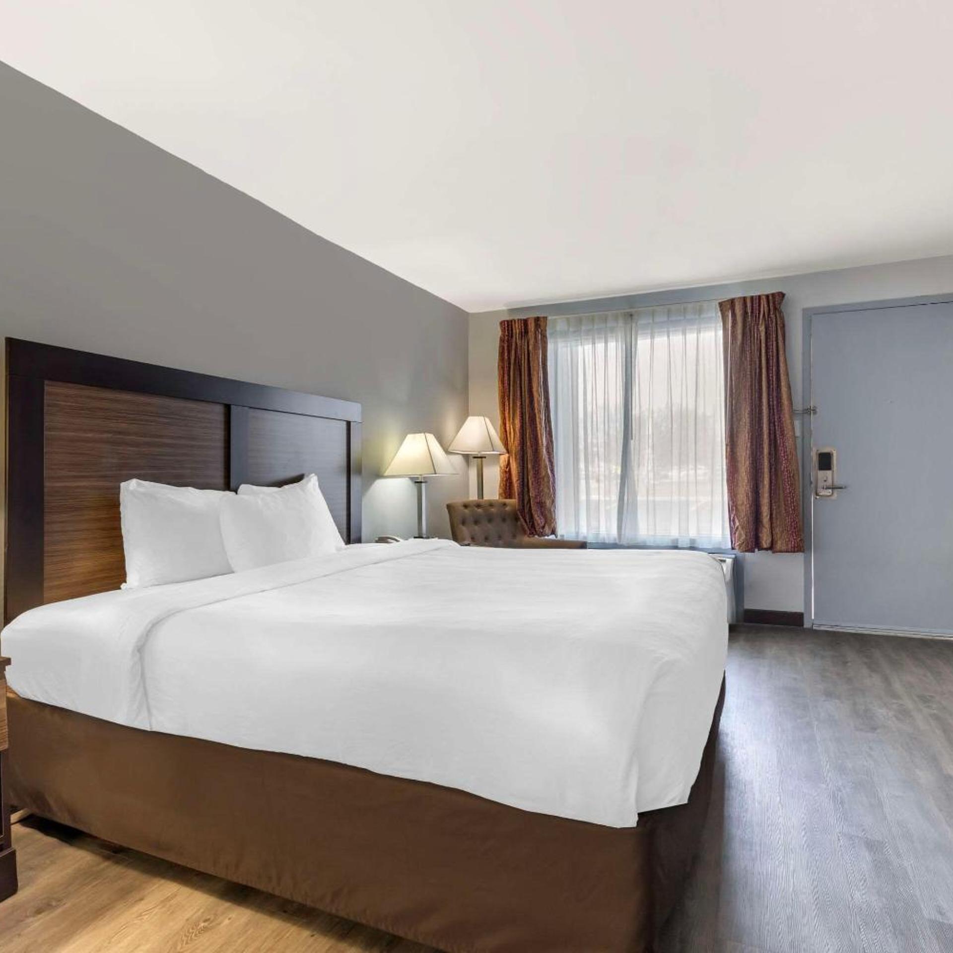 Efficiency, King Bed, Accessible