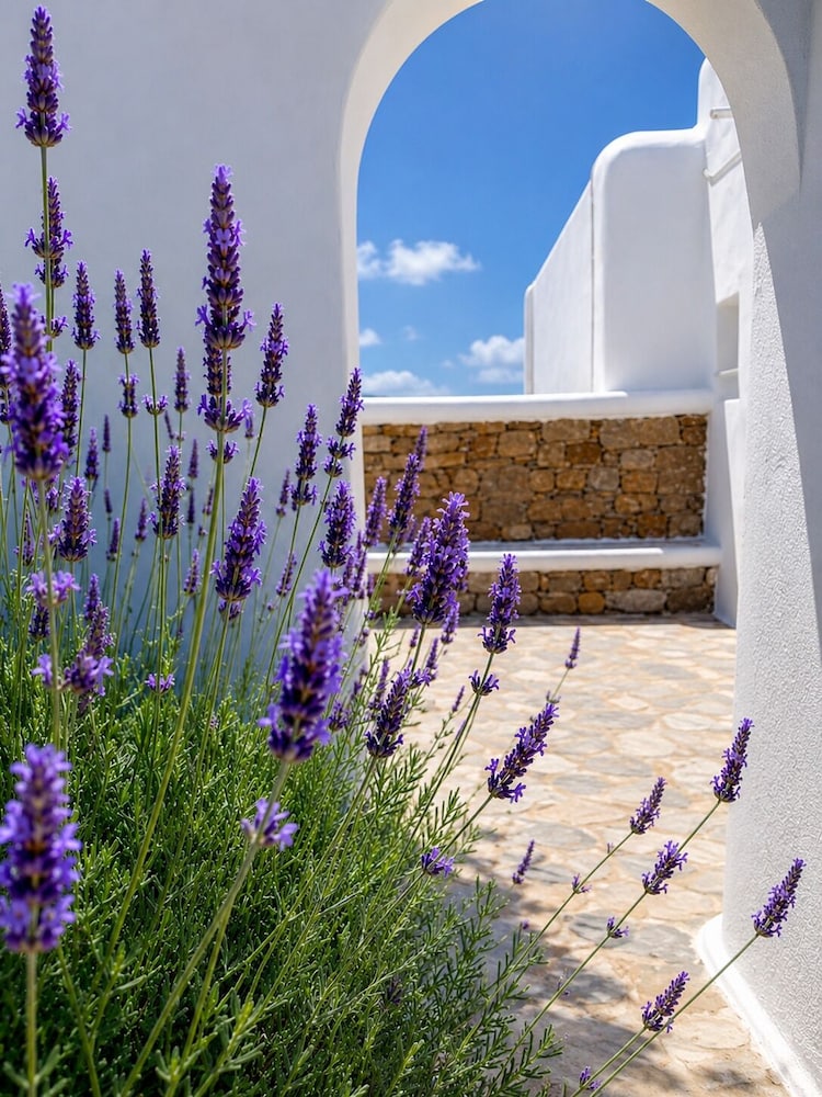 Eleftheria Hotel 43/50