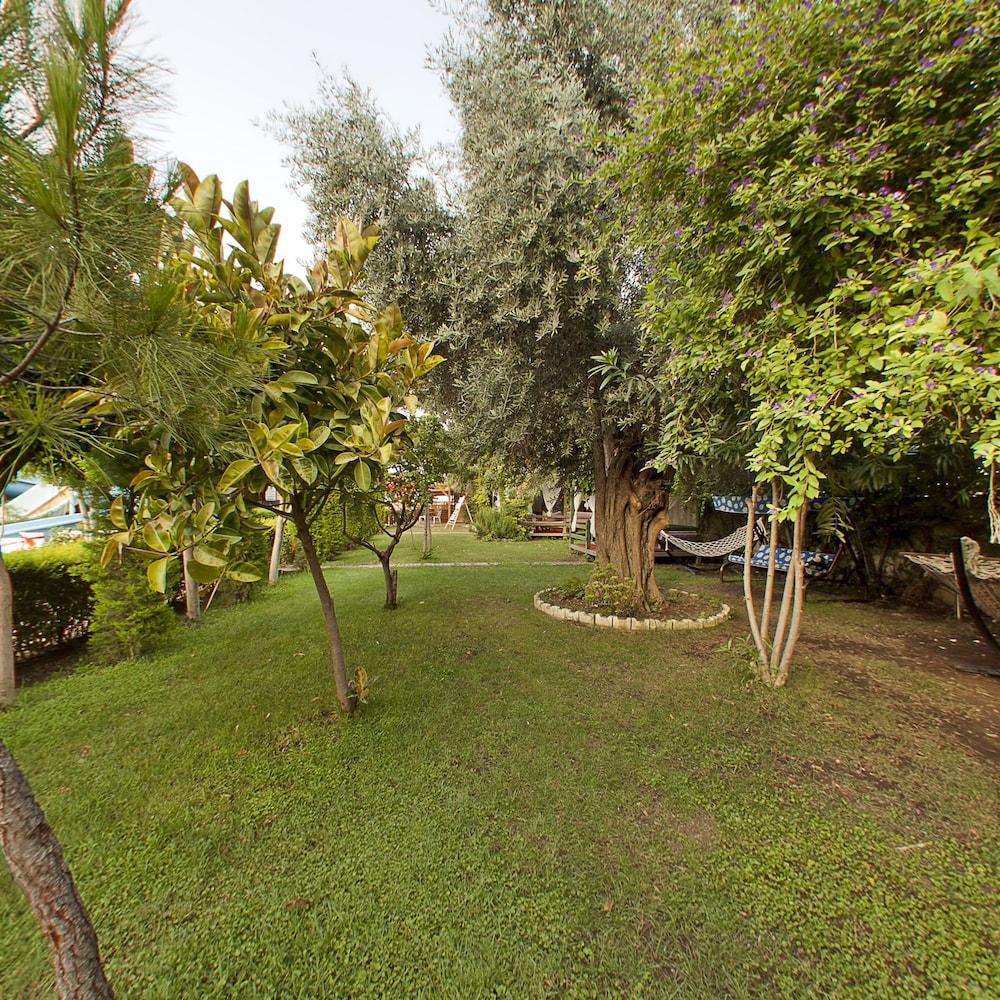 Lims Bona Dea Beach Hotel 65/67