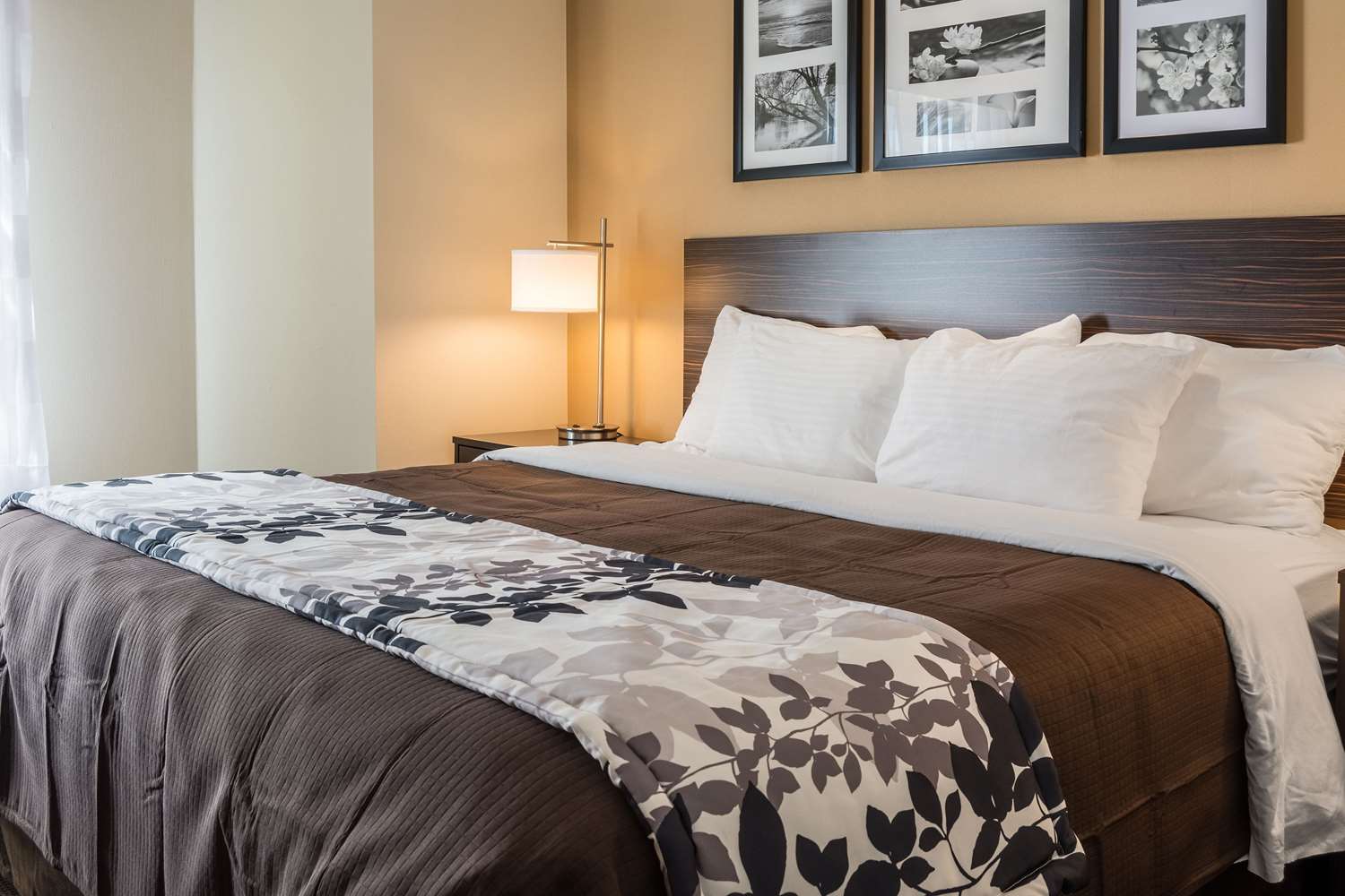 Sleep Inn Bend Crossroads Plaza 16/56