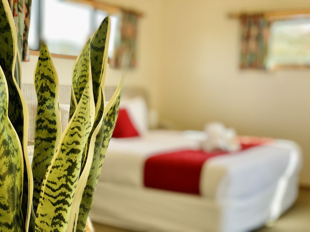 Pacific Harbour Villas(FORMERLY Pacific Harbour Lodge) 30/66