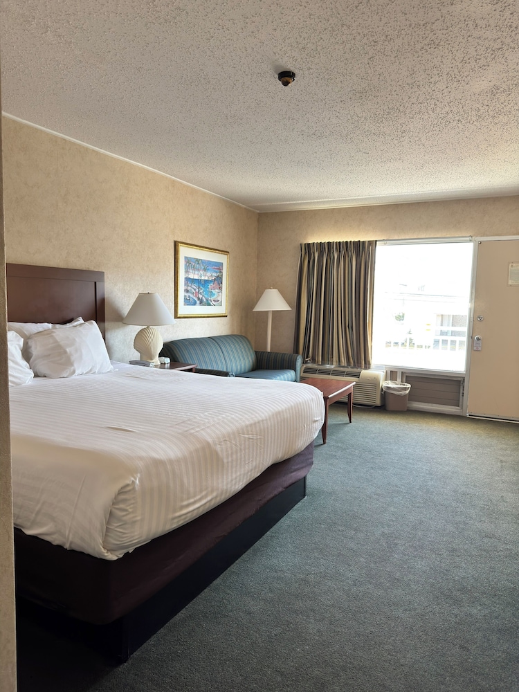 Impala Island Inn 8/34