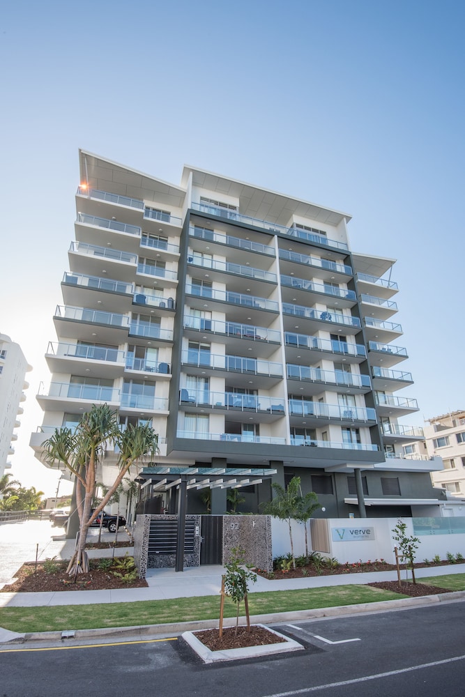 Verve On Cotton Tree 3/50