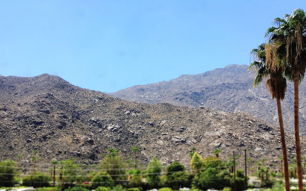 Delos Reyes Palm Springs 58/63