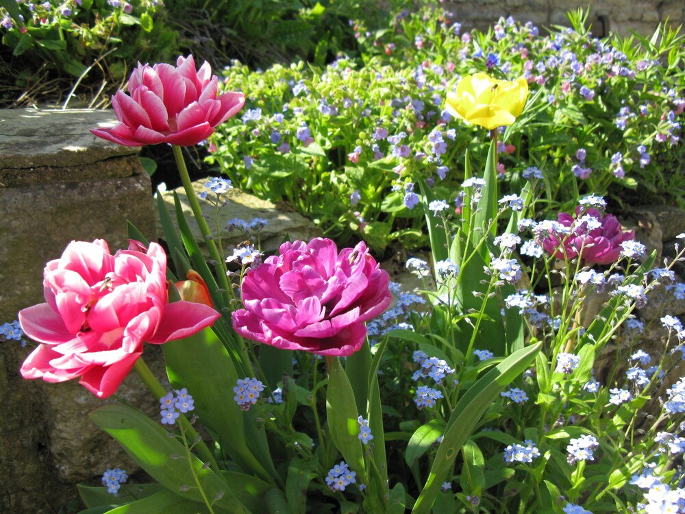 The School House 33/41