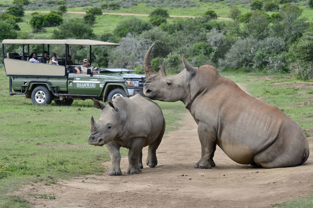 Shamwari Game Reserve - Riverdene 49/50