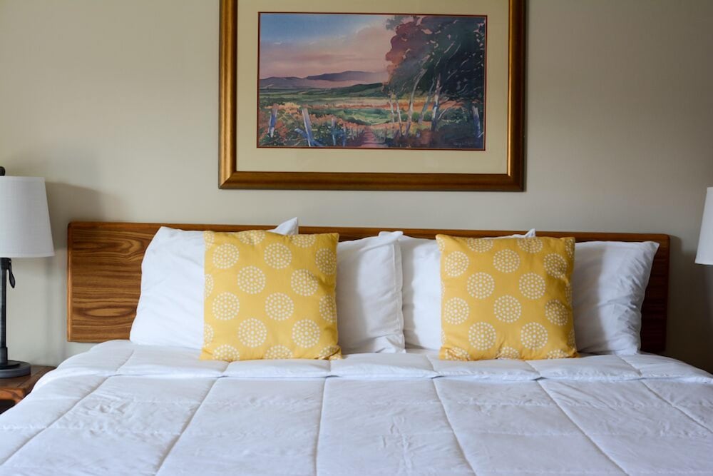 The University Inn Ann Arbor 25/46