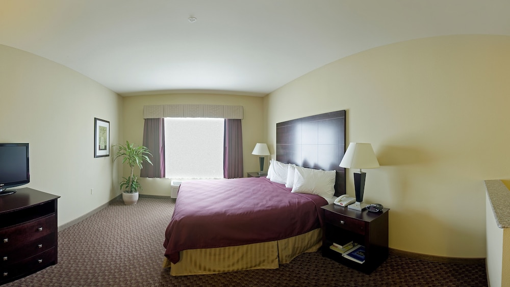 Best Western Plus Burleson Inn & Suites 10/32