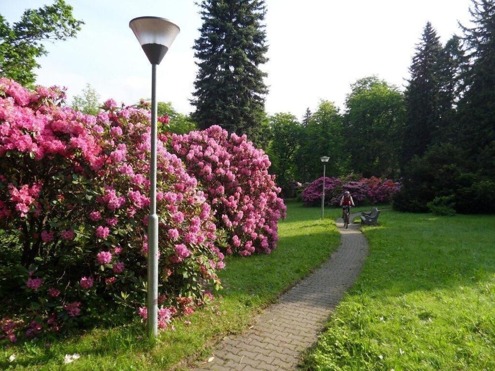 Spa Resort Libverda Hotel Novy Dum 28/35